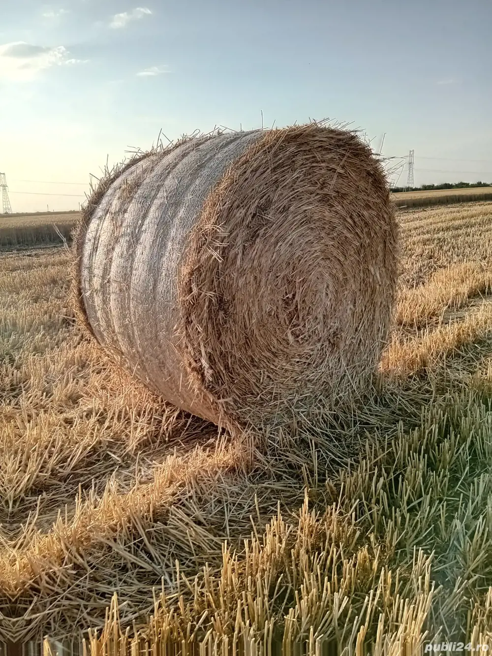Vând Baloți de Paie semi tocate. 