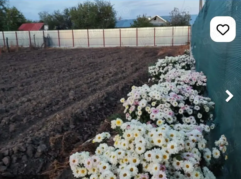 Teren de vânzare!! Teren de vânzare!!