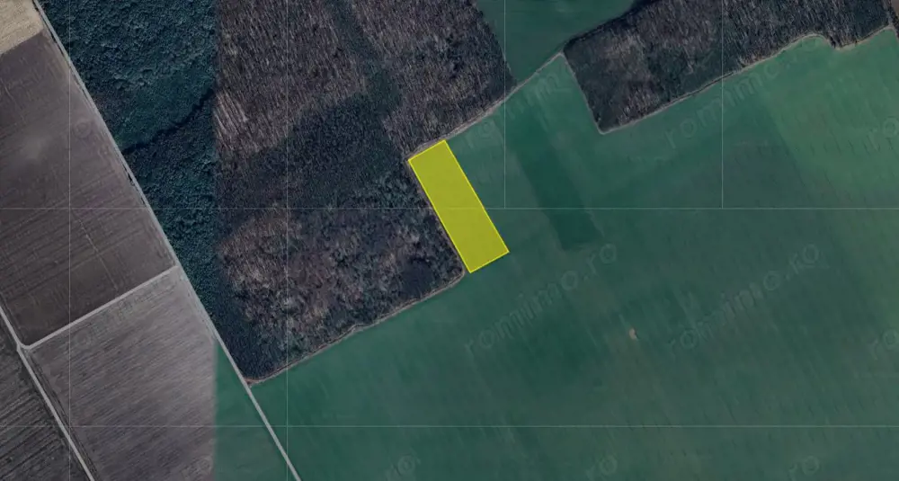 Teren excelent pozitionat cu doua laturi padure Teren excelent pozitionat cu doua laturi padure