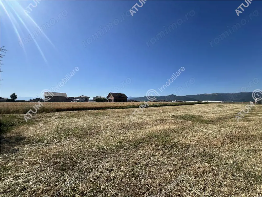 Teren extravilan de 10400 mp cu 2 deschideri in Cristian zona Serelor