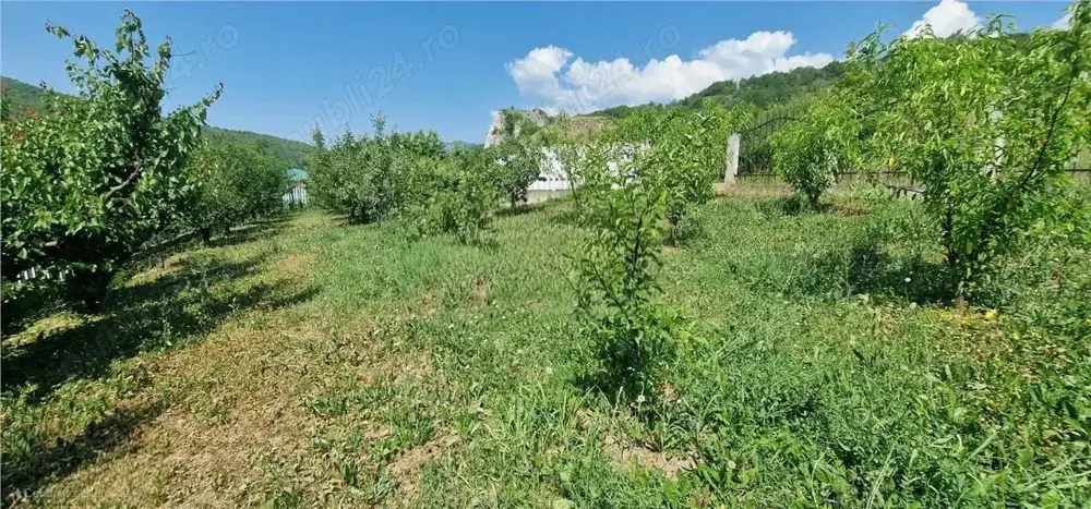 Teren de vanzare zona Ampoita