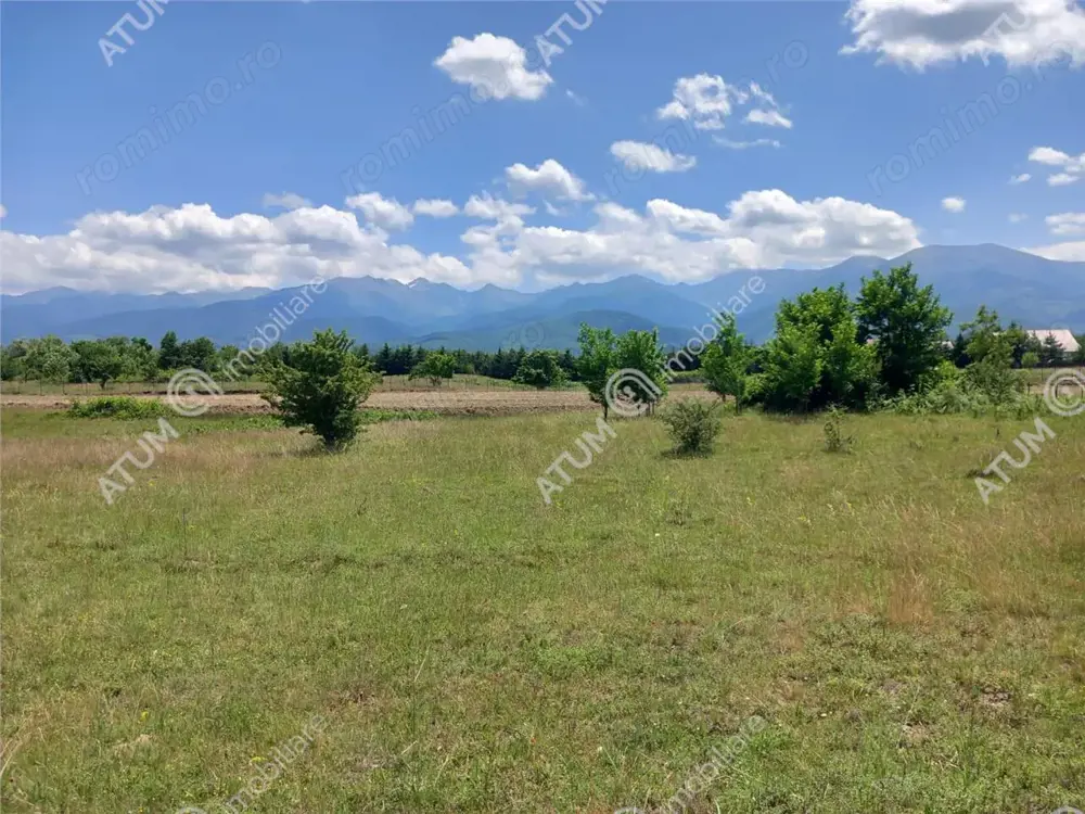 Teren intravilan 5000 mp pe Valea Avrigului, Sibiu