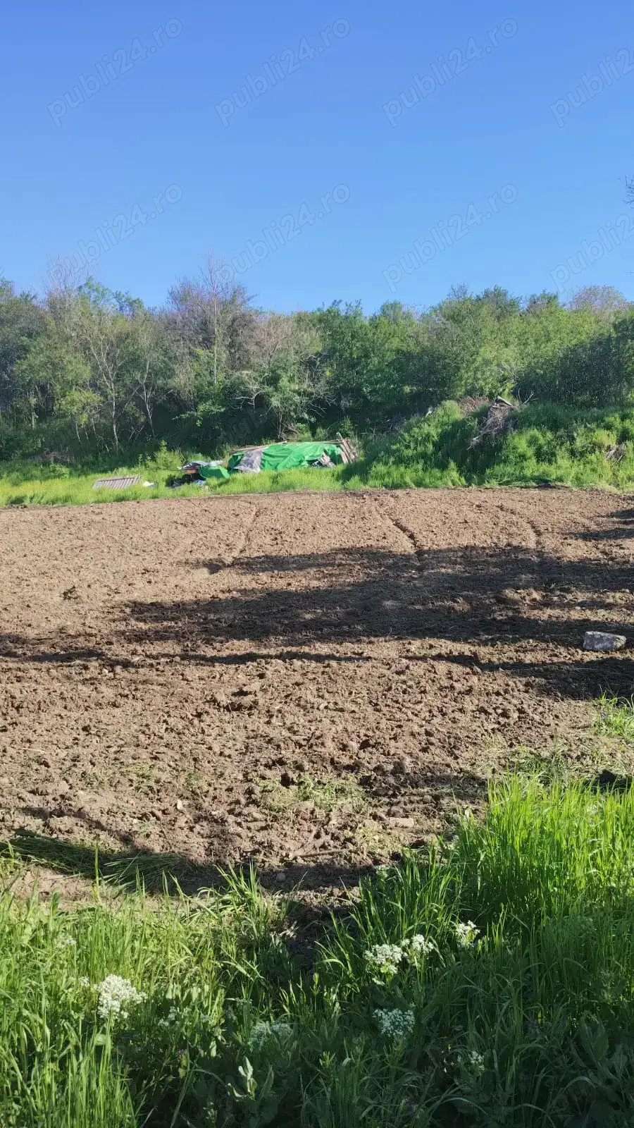 Vând teren 1500mp2 Stoenesti-Giurgiu