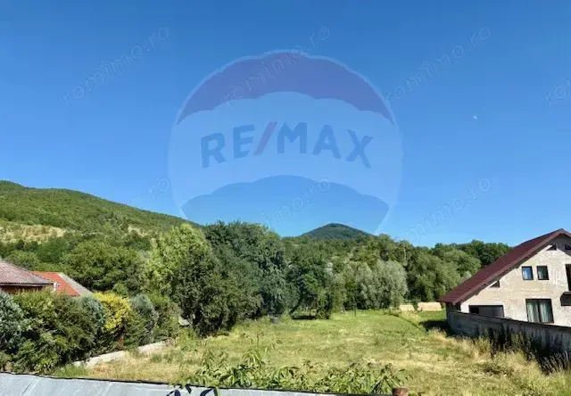 Teren 3,154mp Barsana / Intrarea principala