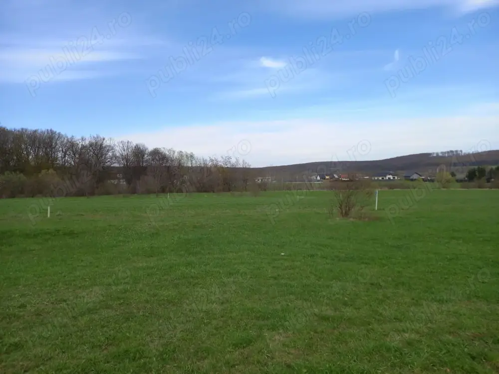 Vand teren Dragomirna 3000 mp langa padure