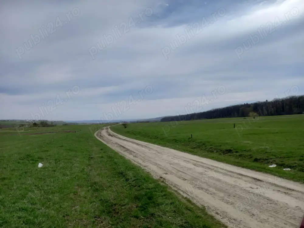 Vand teren Dragomirna 1900 mp Huc