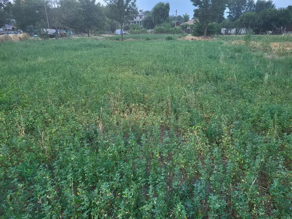 Loc de casă de vânzare 