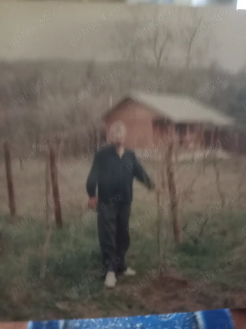 Vând terenul de 2200 mp cu 180 pomi fructiferi și cabană de 30 mp izolată termic 