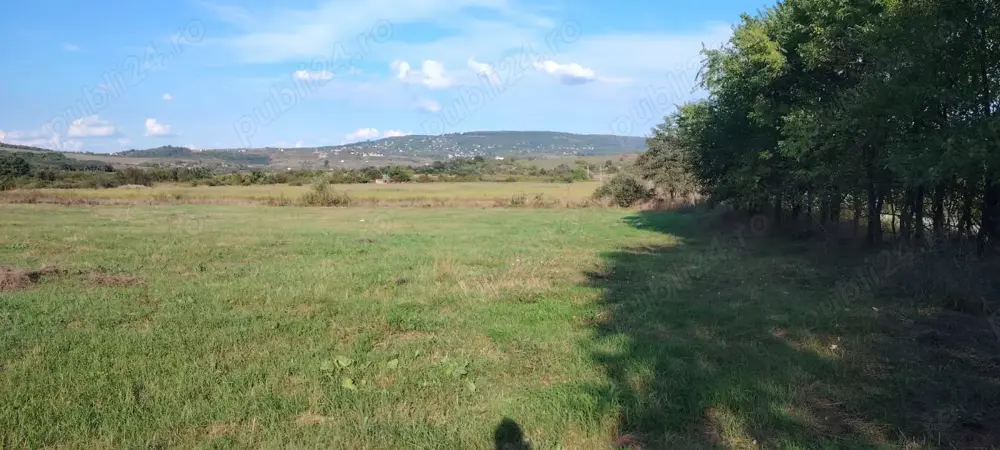 Teren de vânzare în Ciurea