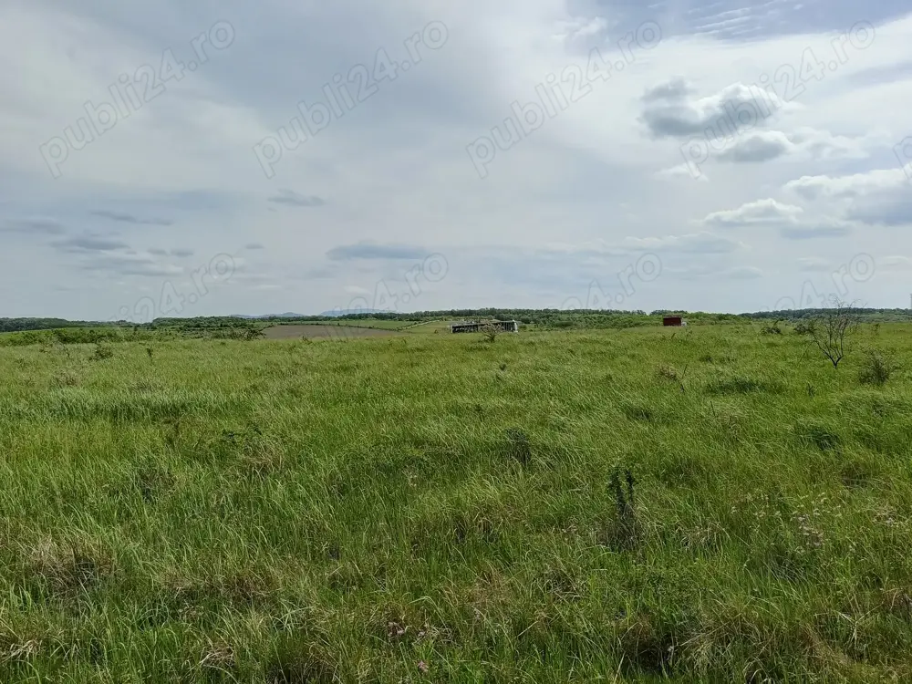 Vand teren extravilan