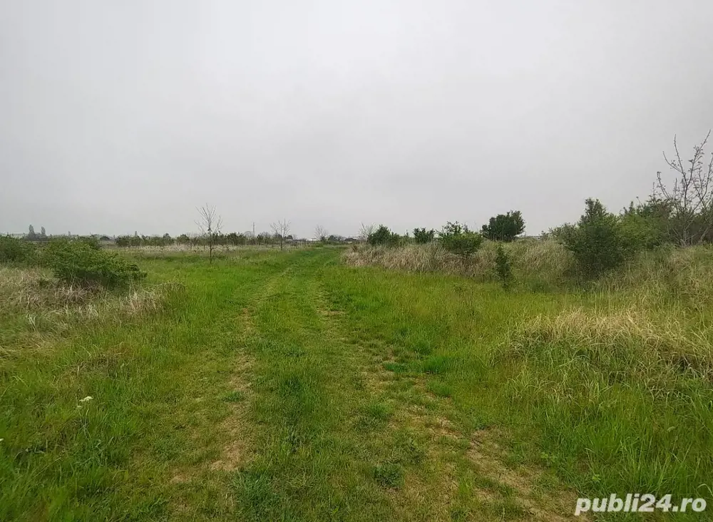 Vând teren intravilan 7525 m2   Giarmata Vii