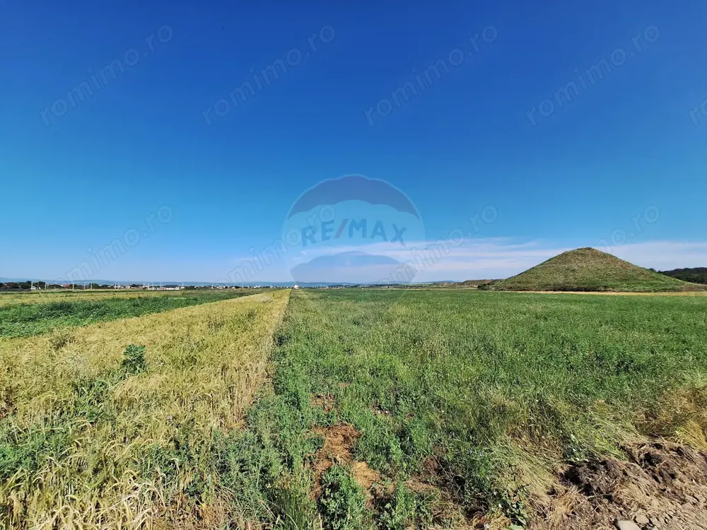 Teren intravilan Maracineni / Strada Manga