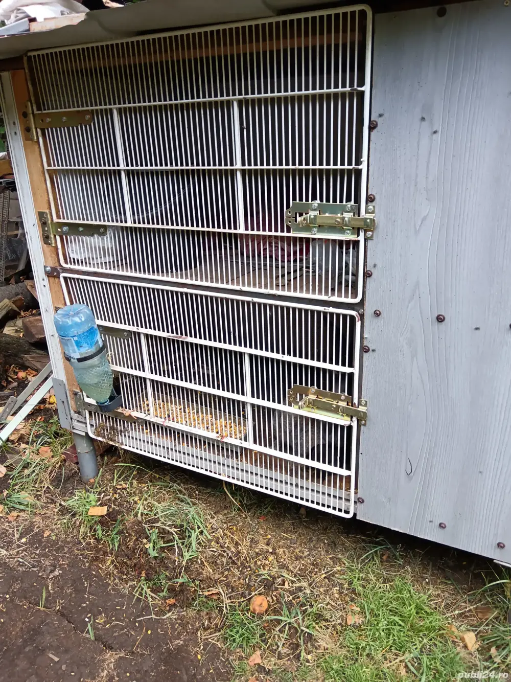 Iepuri și cuști de vânzare 