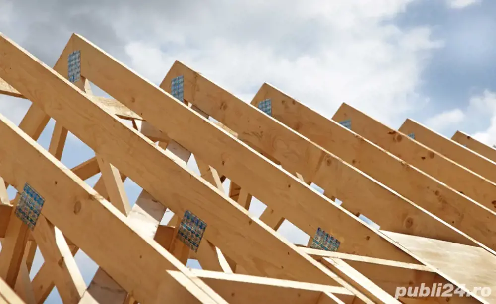 executam acoperisuri si remedieri infiltratii