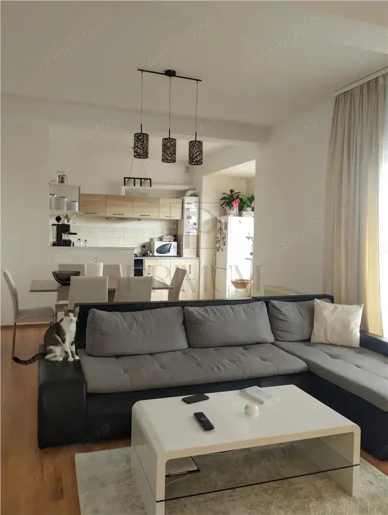 Sanandrei -Apartament 3 camere - doua balcoane -  curte -foisor - beci - zona excelenta