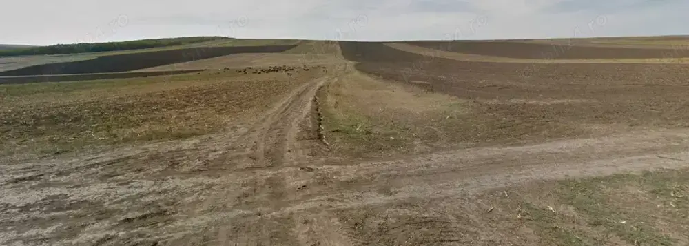 Teren Agricol 6 ha Teren Agricol 6 ha