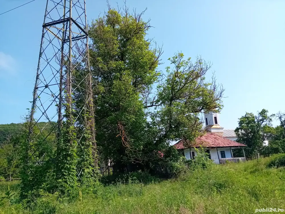 Vând Teren Intravilan Băbana Cotmenița 