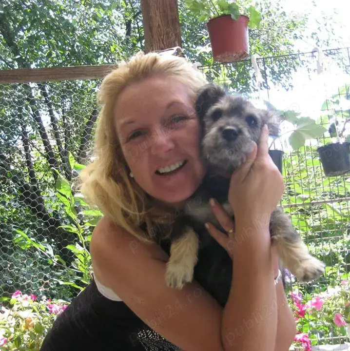  Oferim servicii de cazare, îngrijire, dedicate câinilor... alternativă pet hotel, fără cuşti !