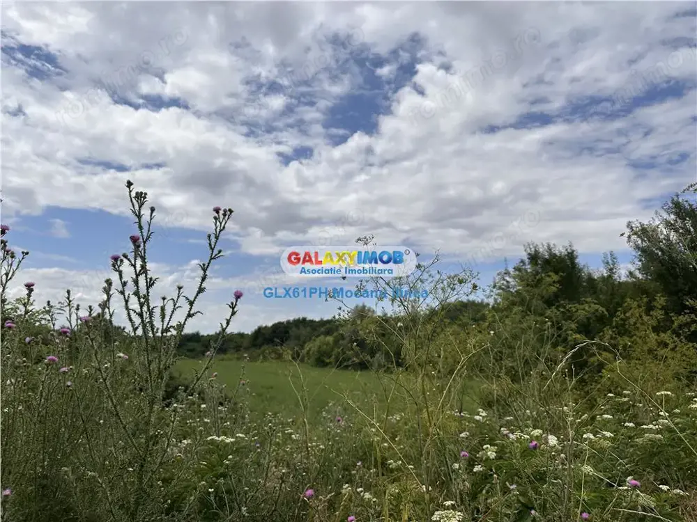 Vanzare teren 60000 mp, in Plopu, la 10 km de Ploiesti