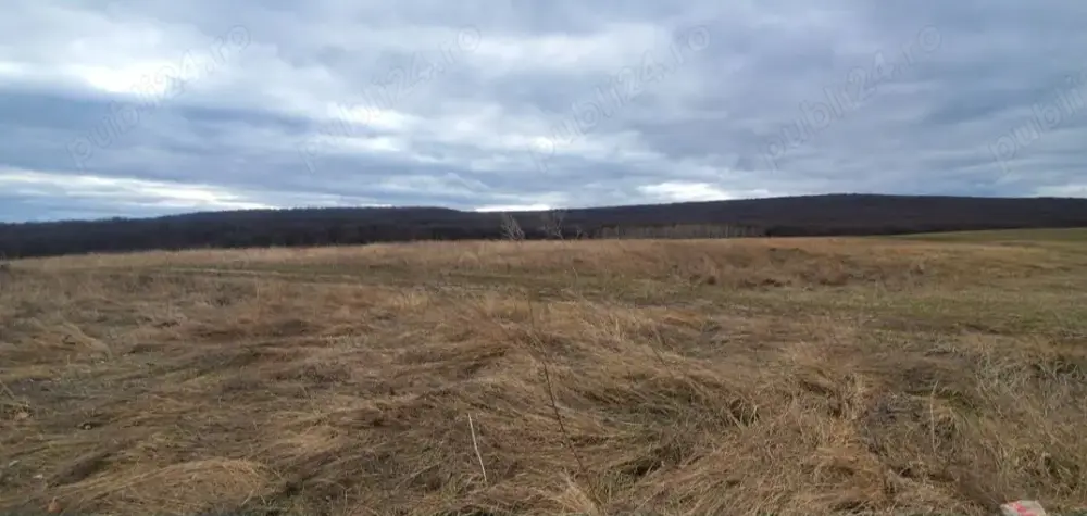 Vând teren intravilan 