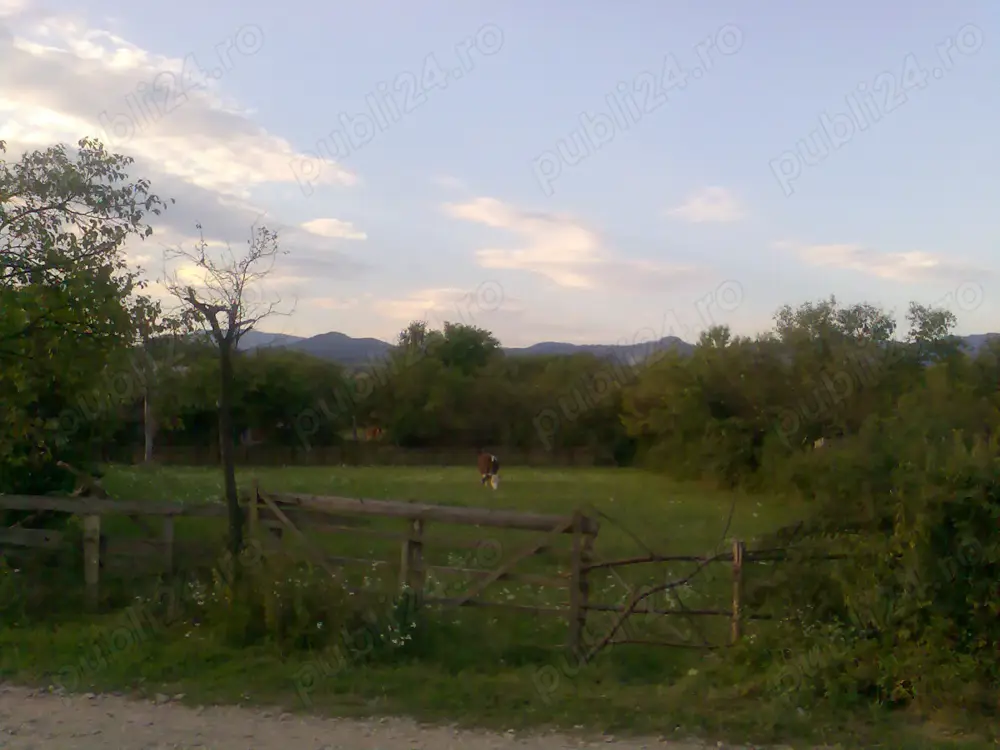 Teren intravilan - Unguras, Maramures