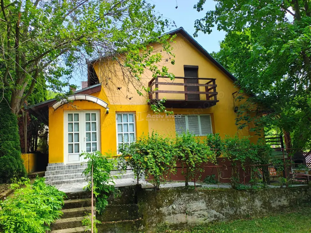 Cabana ta de vis  #238;n inima naturii – Padurea Neagra - Bihor