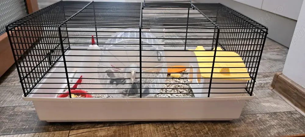 Vând cusca de hamster Vând cusca de hamster