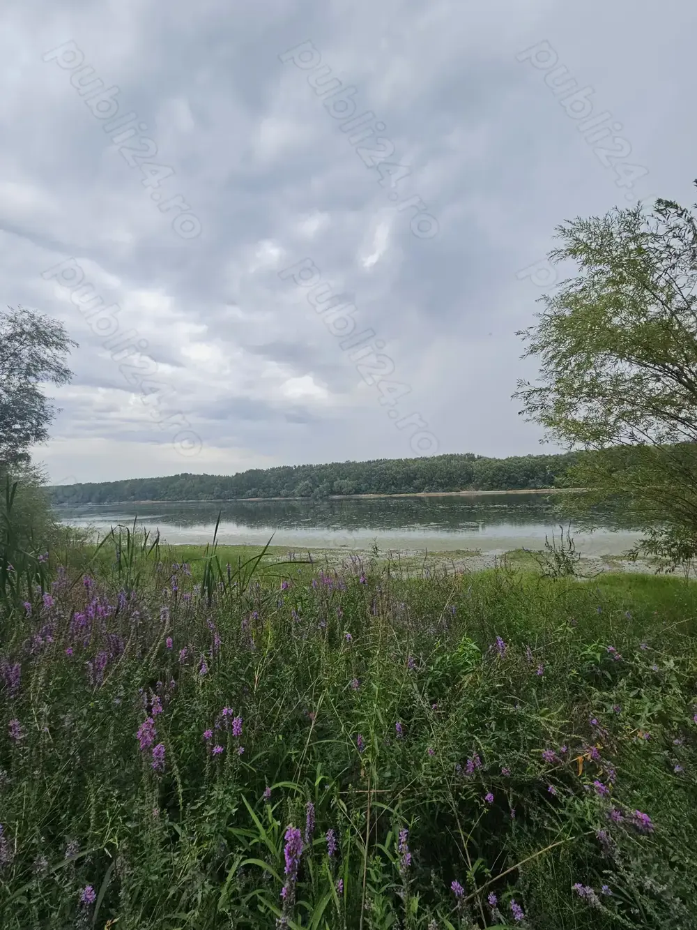 Teren Extravilan Ostrovul Mare , MH