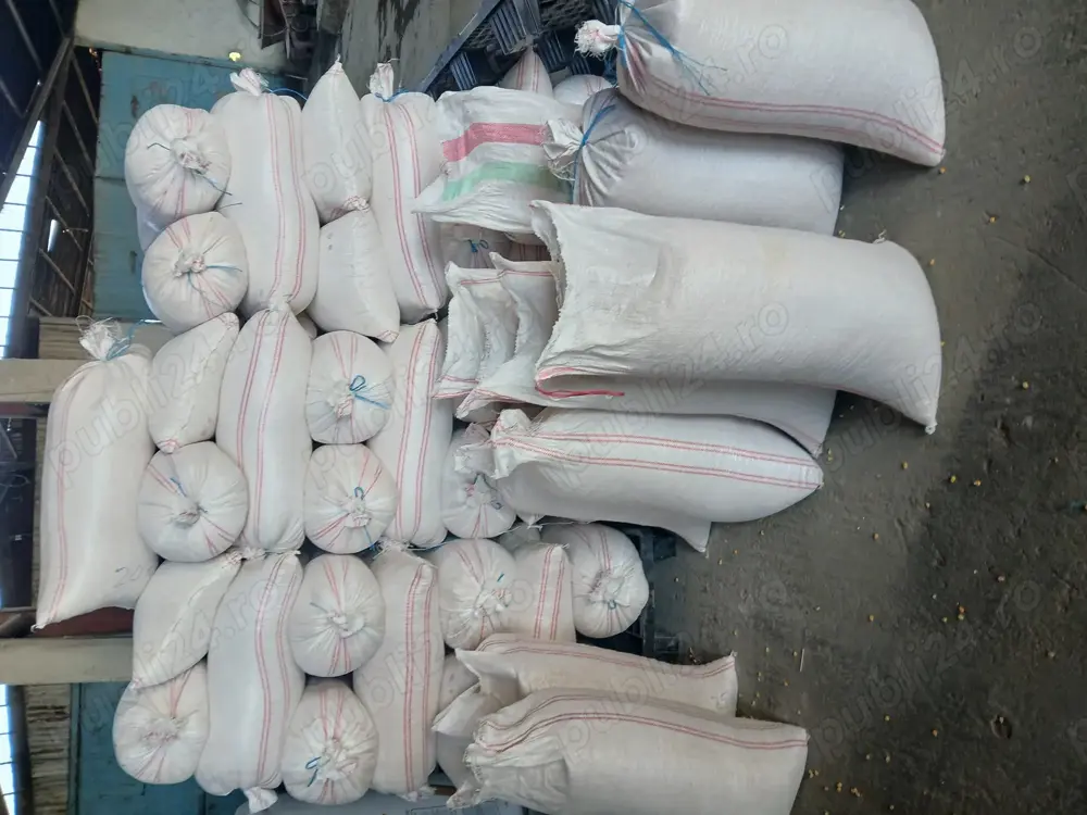 Vând porumb calitate superioară 