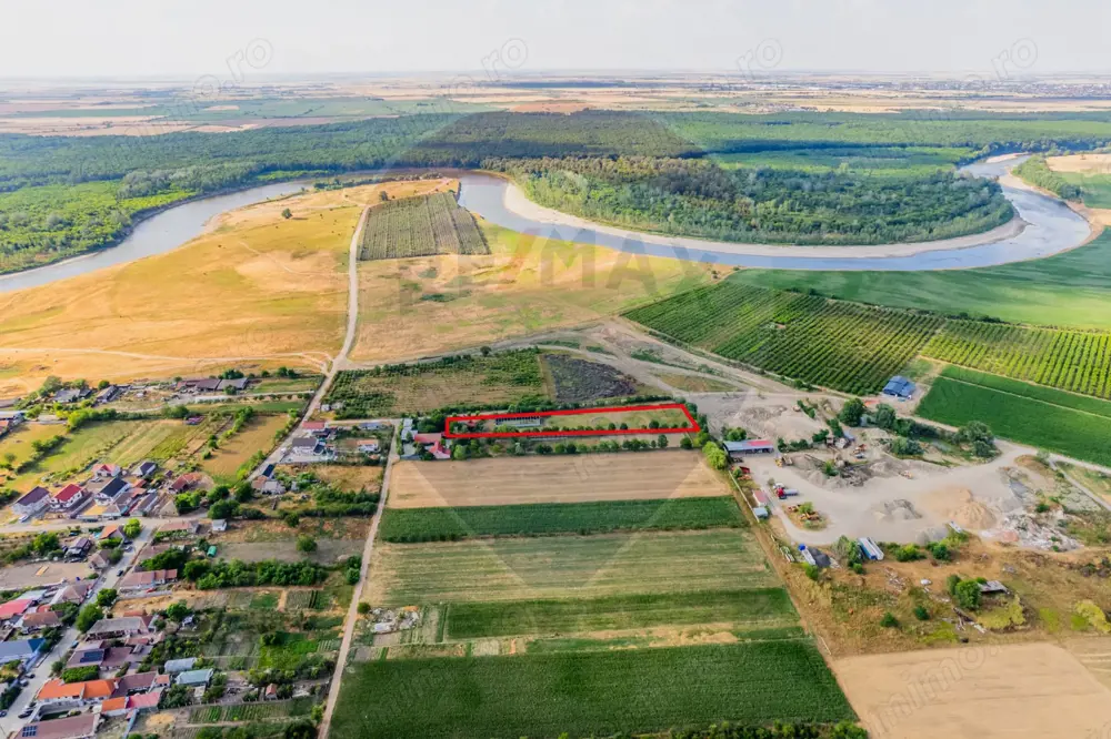 Ferma de cai andaluzi de vanzare - Zadareni