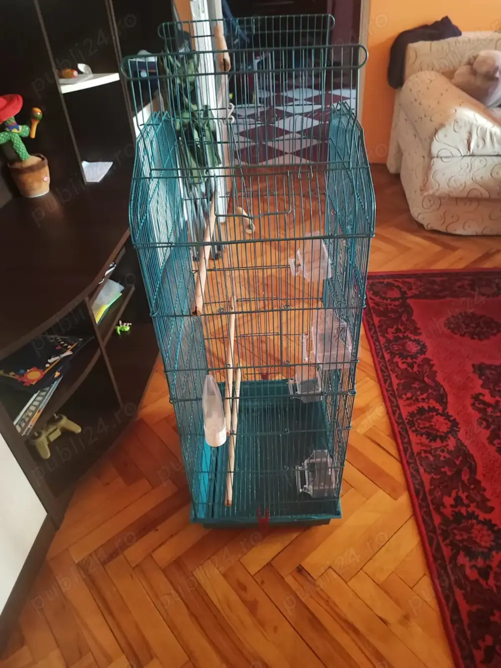 Vind colivie pasari Vind colivie pasari