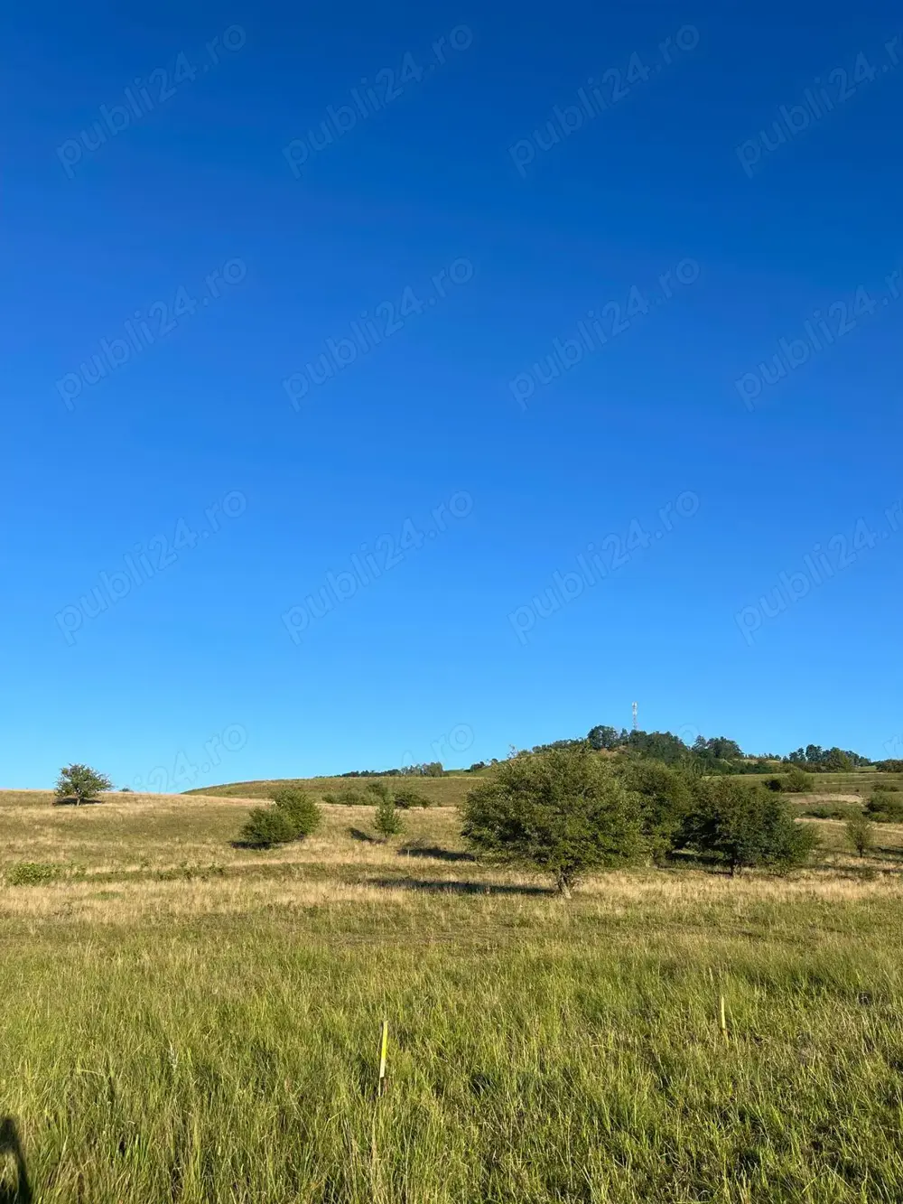 Teren extravilan de vânzare 