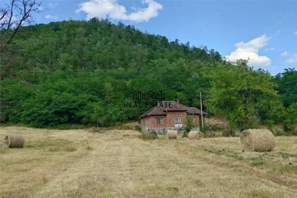 Teren, padure si casa in Dumbrava de Jos, jud. Hunedoara