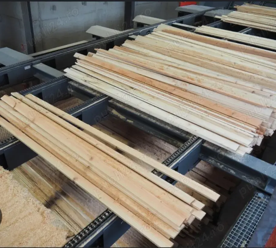 Angajam muncitori ncalificati in Germania