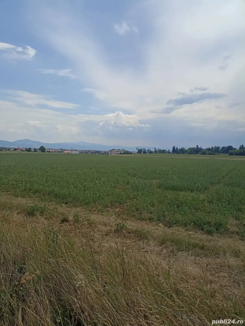 De vânzare teren extravilane în Sfântu Gheorghe 