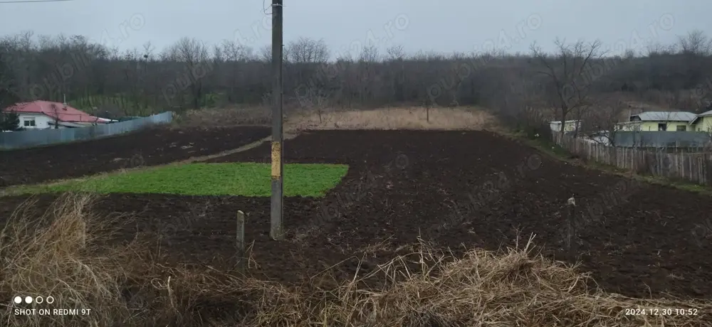 Teren intravilan 5.000 mp, ideal pentru construcție + grădină vie