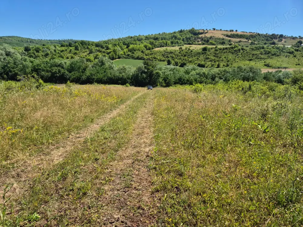 Vând teren extravilan arabil 5000 mp   Hamba   URGENT