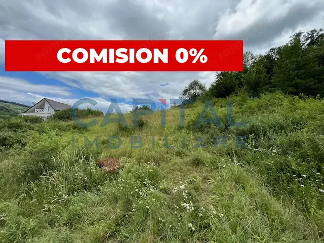 Teren Intravilan Constructii Podis-Margineni