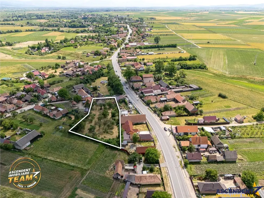 FILM! 2.700mp teren cu casa personalizabila, pomi fructiferi,langa Sfantu Gheorghe: Santionlunca