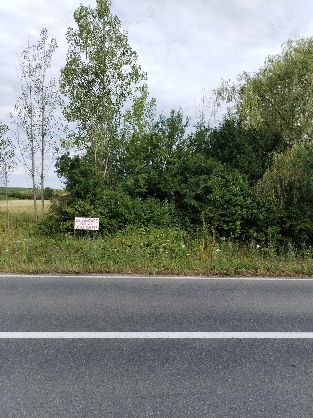 Teren Crasna, Varsolt, lac, Salaj