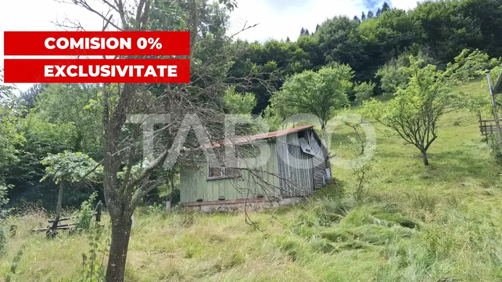 Teren 2500 mp Curmatura Rasinari 40 m deschidere la drum asfaltat