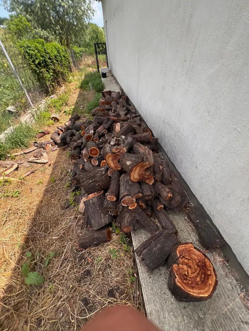 Vând lemne de foc, Holboca Rusenii vechi