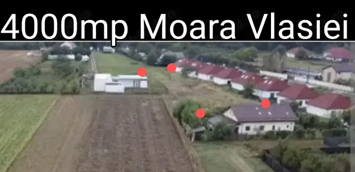 Moara Vlasiei- teren