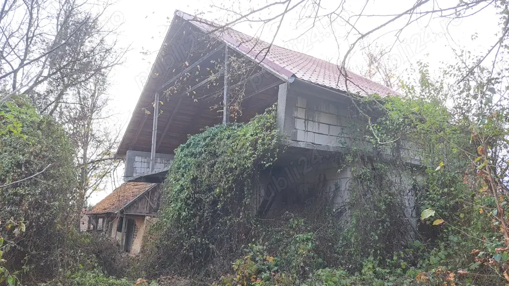 Casa de vanzare in satul Odvos (comuna Conop)