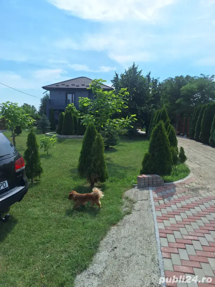 Vând casă Sculeni Iași Vând casă Sculeni Iași