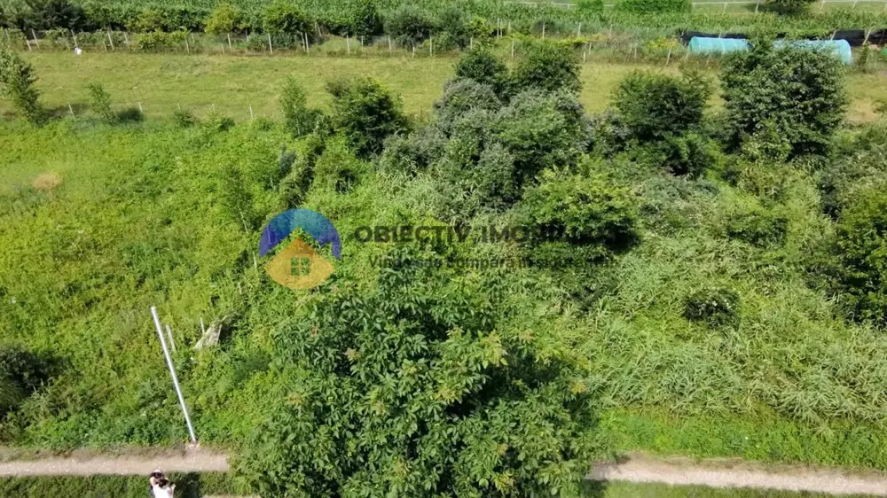 Teren intravilan com. Alexandru cel Bun- Viisoara 