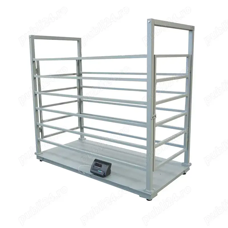 Lada cantar vitei,porci