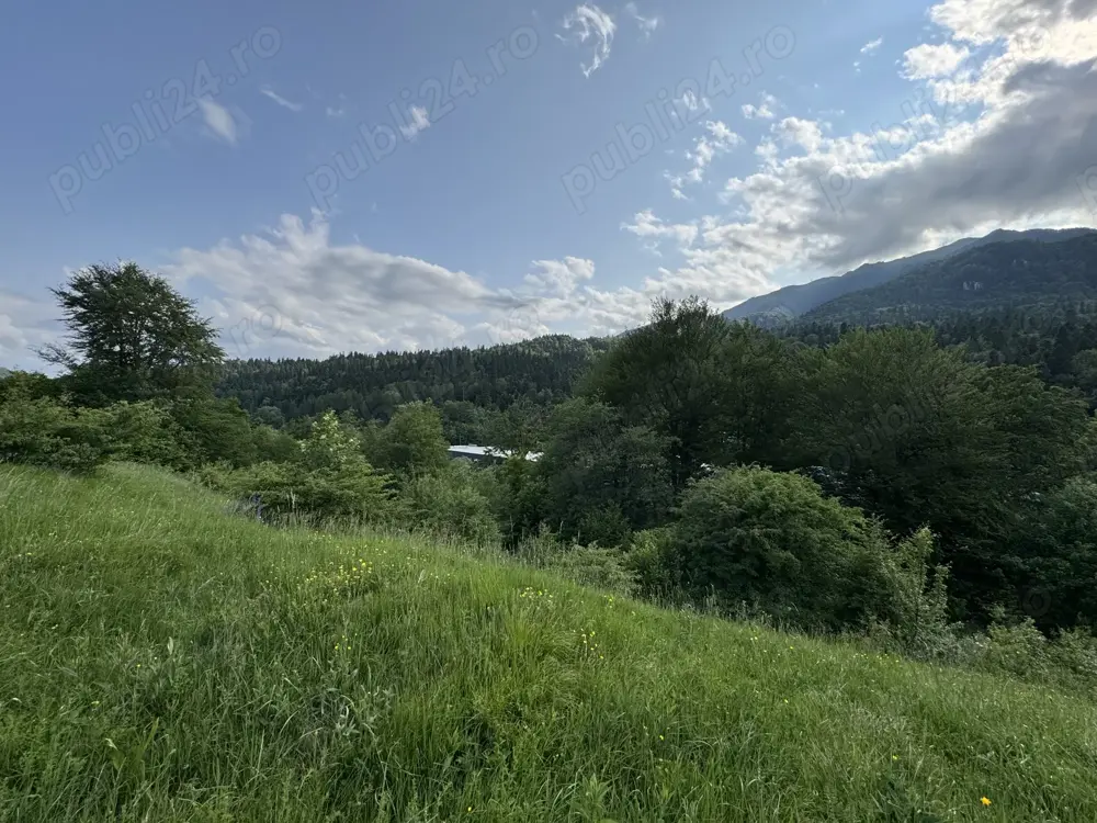 Vand teren intravilan Sinaia