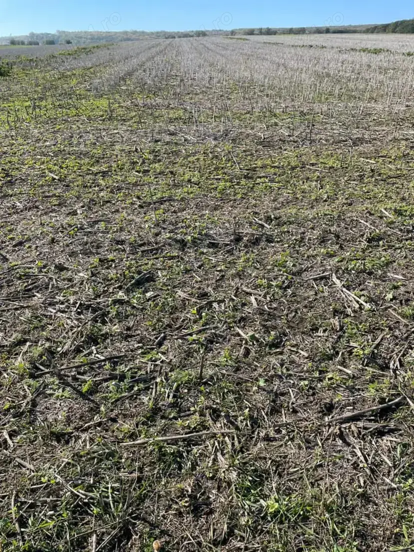Vand 1,76 ha teren arabil in zona extravilana Posta Calnau Vand 1,76 ha teren arabil in zona extravilana Posta Calnau