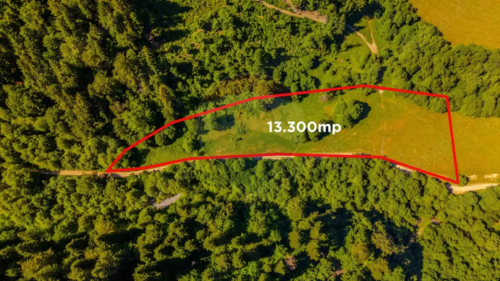 COMISION 0% Teren Brădet 7300 + 6000 mp/ Sacele /Intravilan